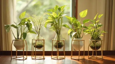 Elevate Your Space with Premier Quality Money Plant Supports Made in China for Global Markets