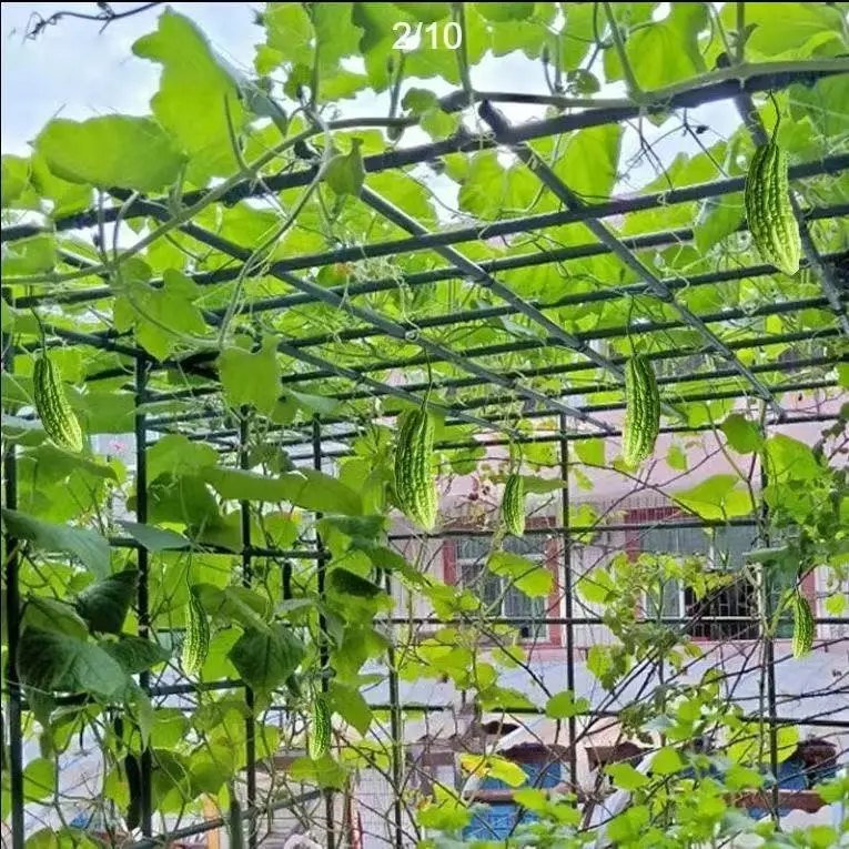 Garden stakes (1).jpg