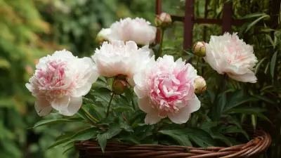 How to Effectively Use a Peony Support Cage for Optimal Plant Growth and Stability