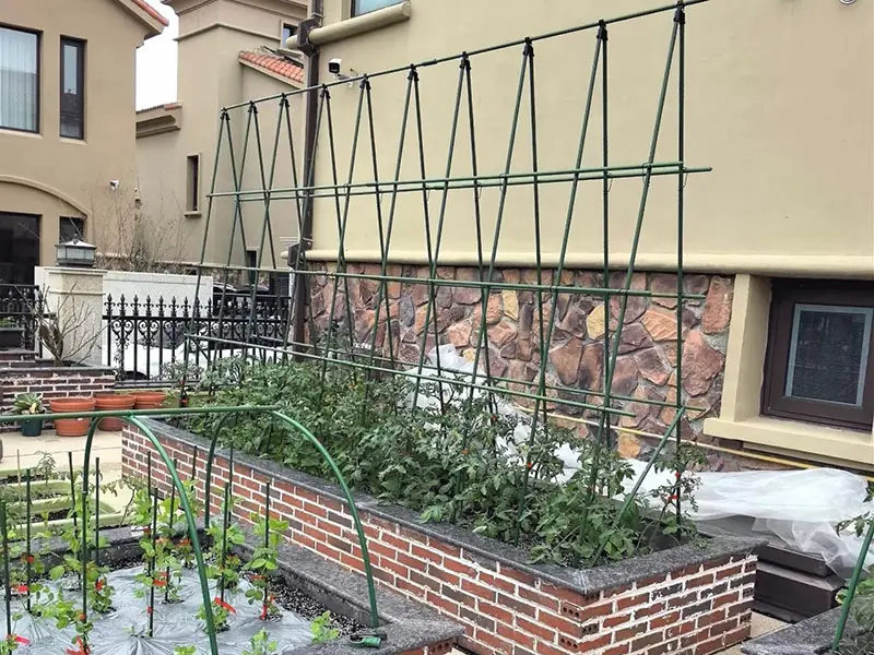 The Rise of Garden Support Systems: Innovations Transforming Modern Gardening