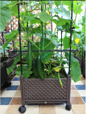 The Simple Stake The Minimalist's Champion.png