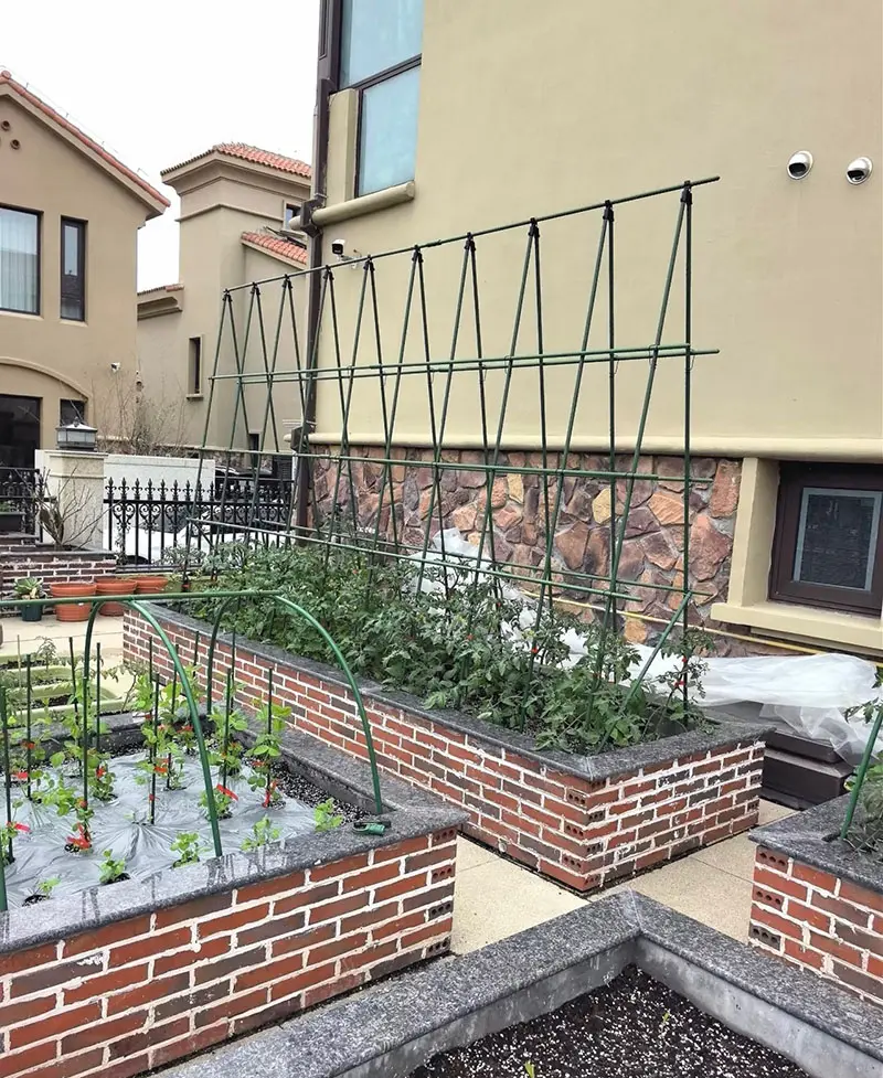 Innovations Transforming Modern Gardening 1.jpg