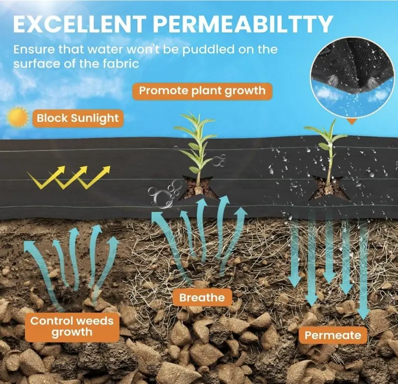 Weed Control Fabric: The Smart Gardener's Secret to Higher Yields and Less Work