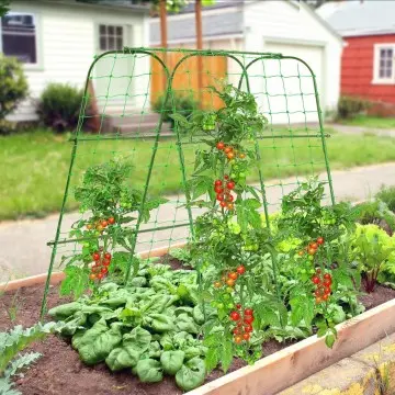 Gardening U-shaped cucumber climbing frame tomato grape arched plant support frame