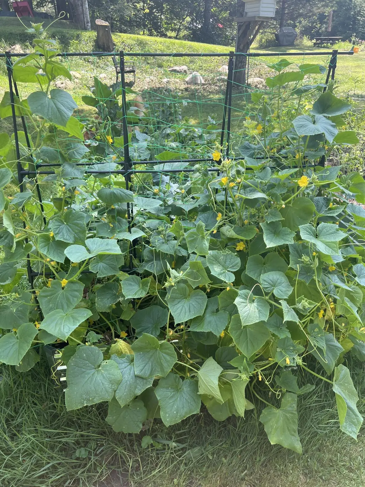 Join Our Growing Community!.png