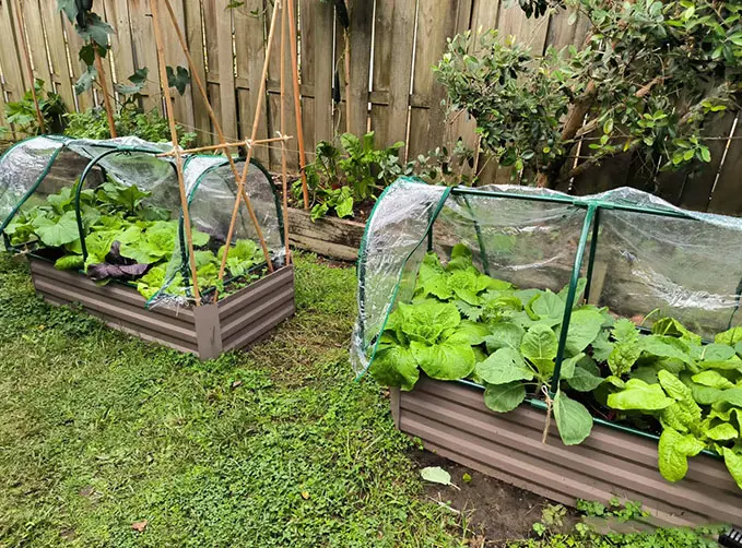 Fruit and vegetable climbing frame