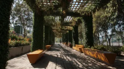 Exploring Alternative Solutions for Plant Brace Needs in the Global Market