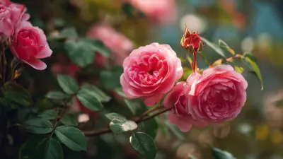 Exploring Innovative Designs for Rose Bush Climbing Frames at the 138th Canton Fair in 2025