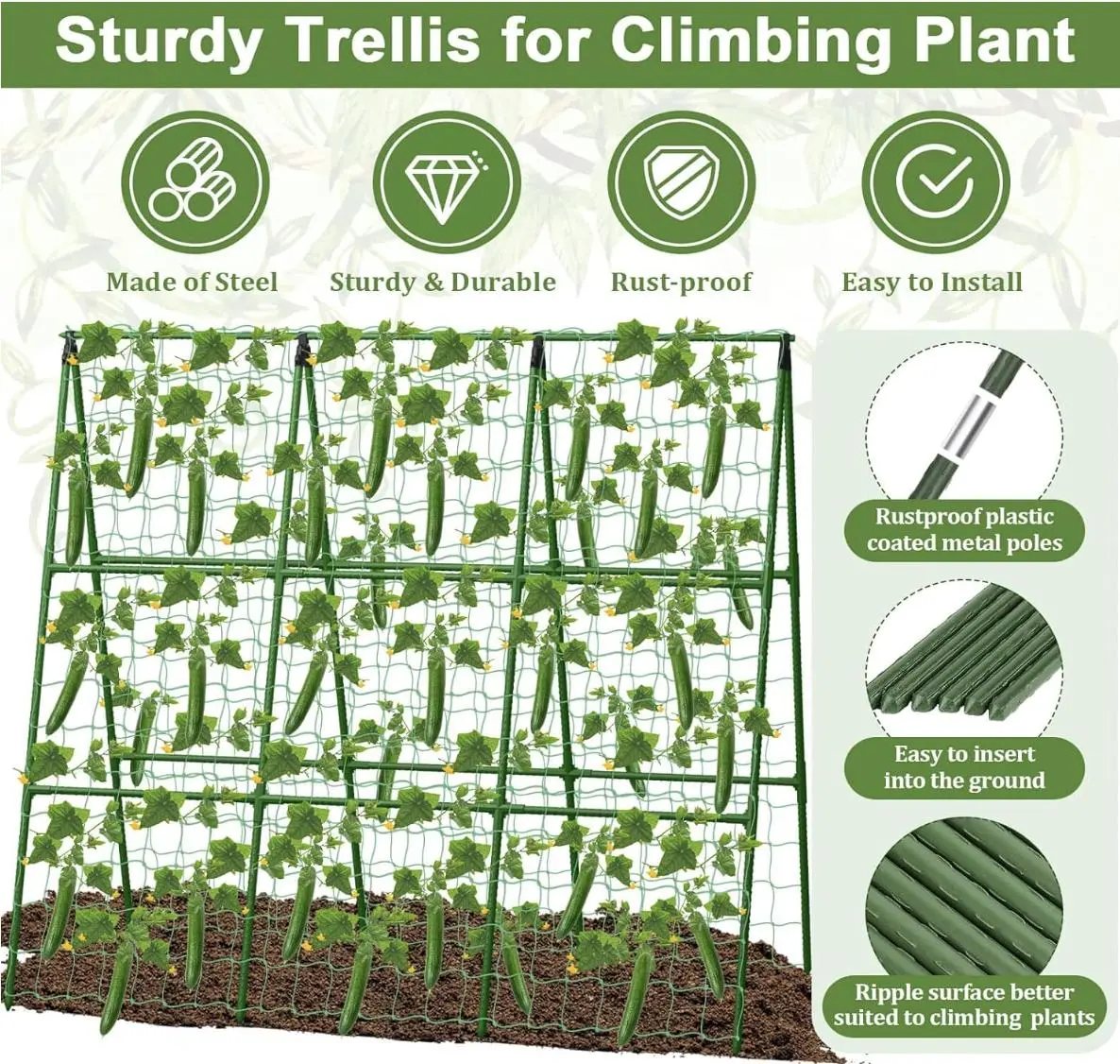 Square and A-Frame Cucumber Trellises: Redefining Modern Home Gardens with Smart Design and Practical Aesthetics