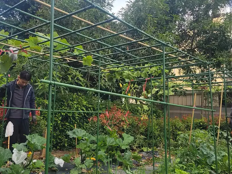 The Rising Trend of Garden Signs: How Personalized Décor is Transforming Outdoor Spaces