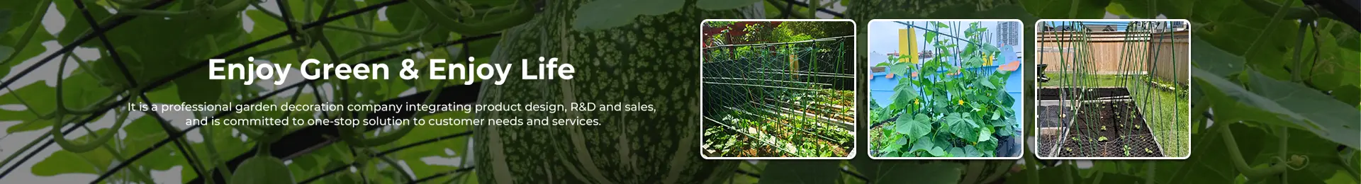 Diy Tomato Trellis