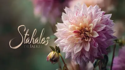 Unique Support Options for Growing Stunning Dahlias
